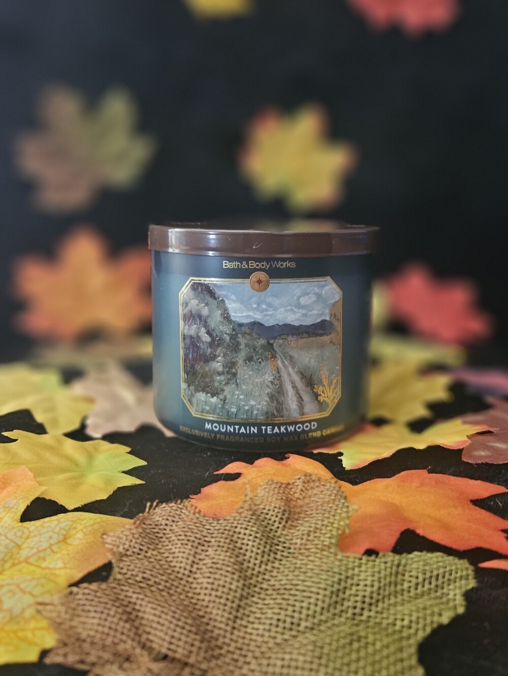 NWT Bath & Body Works Mountain Teakwood 3-wick Candle - Green & Brown